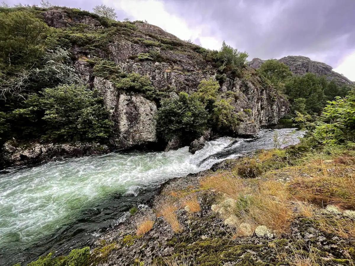 Havgaarden, Apt 1 Stapnes المظهر الخارجي الصورة